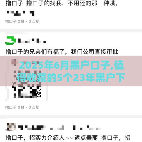 2025年6月黑户口子,值得收藏的5个23年黑户下款口子