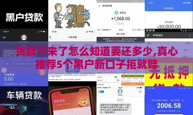 贷款下来了怎么知道要还多少,真心推荐5个黑户新口子拒就赔