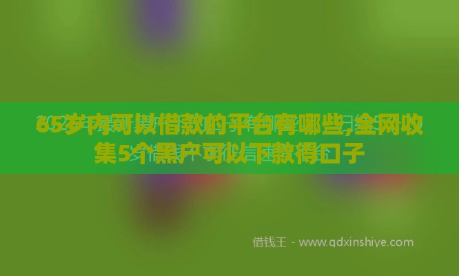 65岁内可以借款的平台有哪些,全网收集5个黑户可以下款得口子