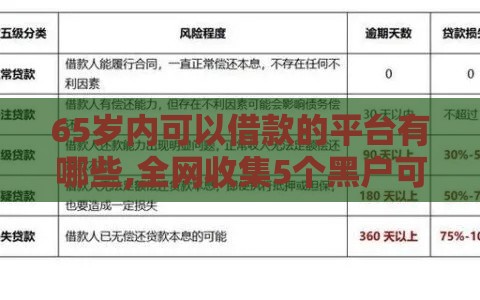 65岁内可以借款的平台有哪些,全网收集5个黑户可以下款得口子