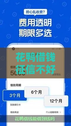 花鸭借钱征信不好能下款吗？真实审核机制大揭秘