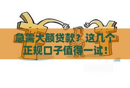 急需大额贷款？这几个正规口子值得一试！