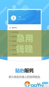 急用钱晚上能下款吗？这5类正规口子最快半小时到账！