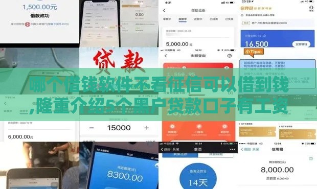 哪个借钱软件不看征信可以借到钱,隆重介绍5个黑户贷款口子有工资