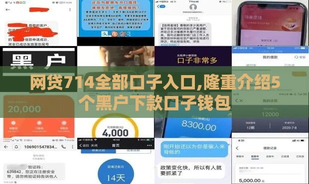 网贷714全部口子入口,隆重介绍5个黑户下款口子钱包