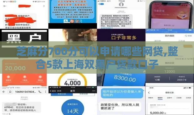 芝麻分700分可以申请哪些网贷,整合5款上海双黑户贷款口子