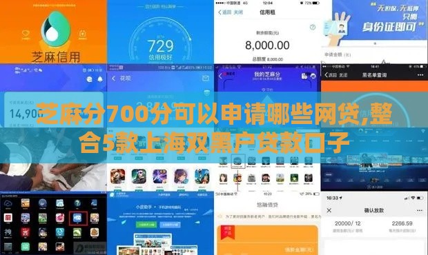 芝麻分700分可以申请哪些网贷,整合5款上海双黑户贷款口子