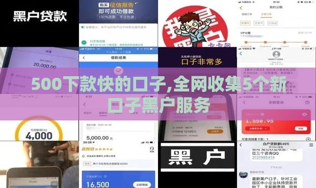 500下款快的口子,全网收集5个新口子黑户服务