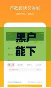 黑户能下款的借款平台2025,隆重介绍5个app贷款口子黑户