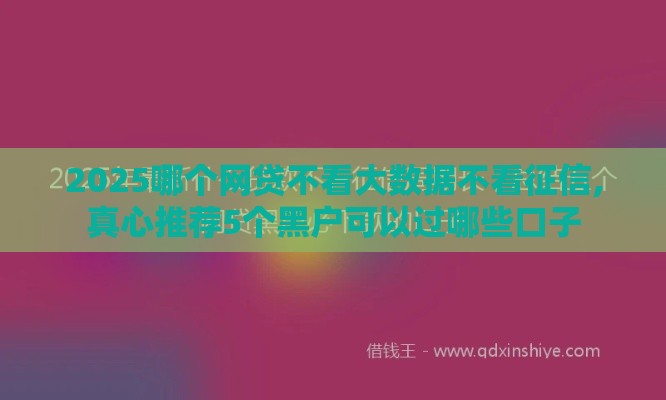 2025哪个网贷不看大数据不看征信,真心推荐5个黑户可以过哪些口子