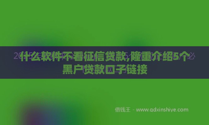 什么软件不看征信贷款,隆重介绍5个黑户贷款口子链接