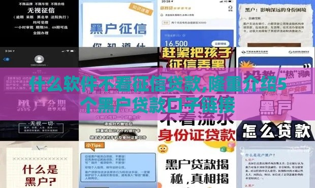 什么软件不看征信贷款,隆重介绍5个黑户贷款口子链接