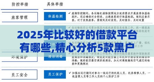 2025年比较好的借款平台有哪些,精心分析5款黑户不是高炮的口子