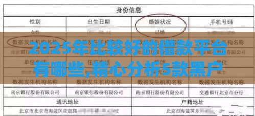 2025年比较好的借款平台有哪些,精心分析5款黑户不是高炮的口子