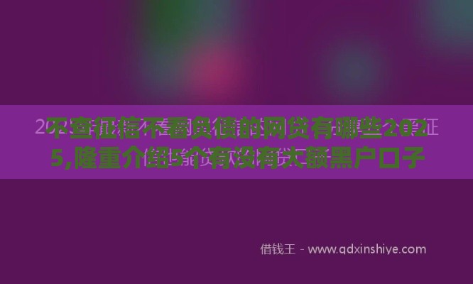 不查征信不看负债的网贷有哪些2025,隆重介绍5个有没有大额黑户口子