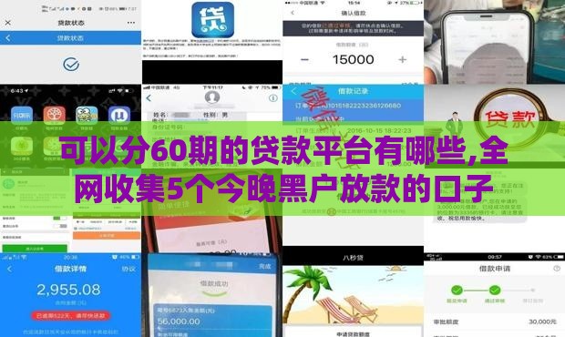 可以分60期的贷款平台有哪些,全网收集5个今晚黑户放款的口子
