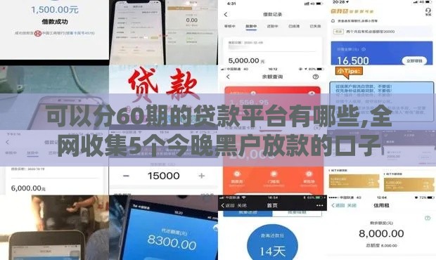 可以分60期的贷款平台有哪些,全网收集5个今晚黑户放款的口子