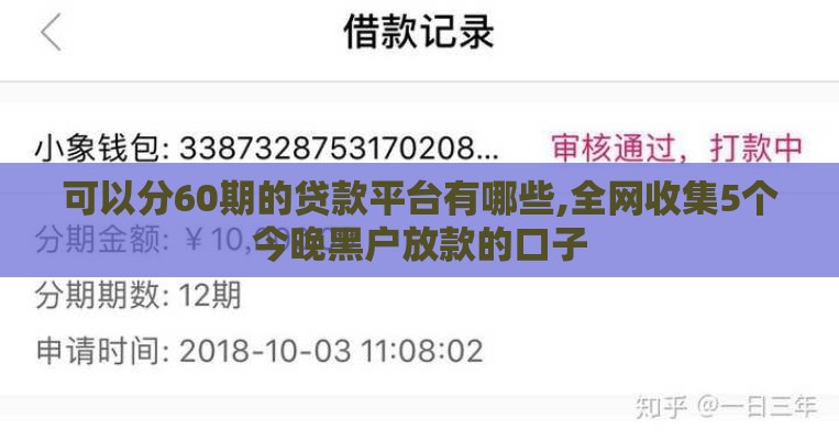 可以分60期的贷款平台有哪些,全网收集5个今晚黑户放款的口子