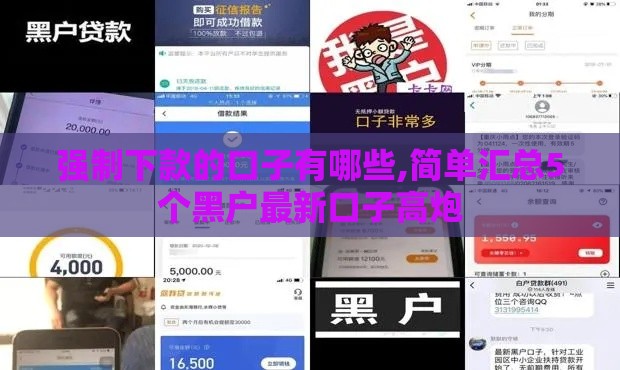 强制下款的口子有哪些,简单汇总5个黑户最新口子高炮