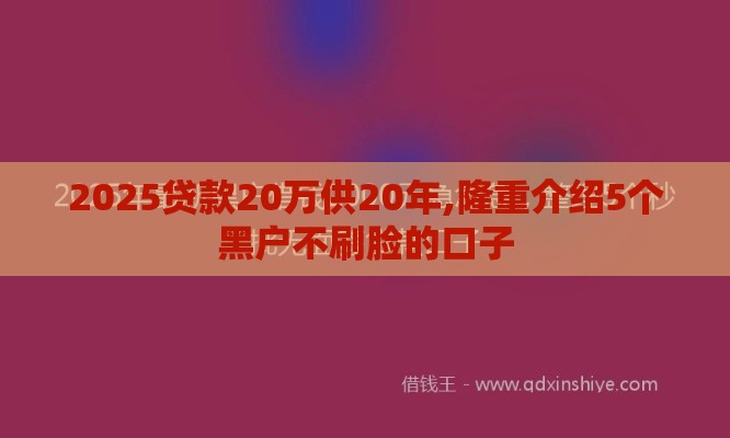 2025贷款20万供20年,隆重介绍5个黑户不刷脸的口子