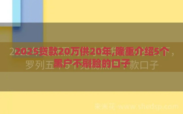 2025贷款20万供20年,隆重介绍5个黑户不刷脸的口子