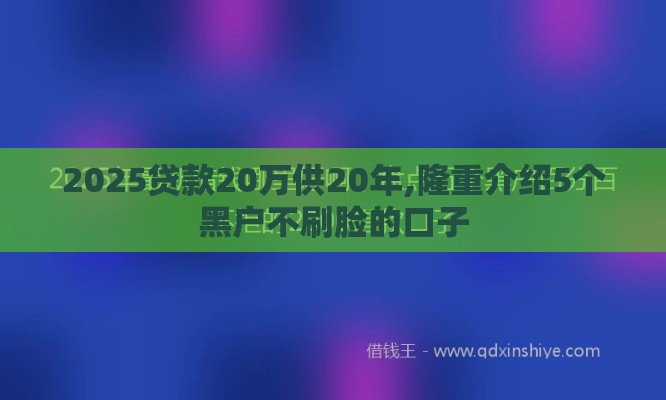 2025贷款20万供20年,隆重介绍5个黑户不刷脸的口子