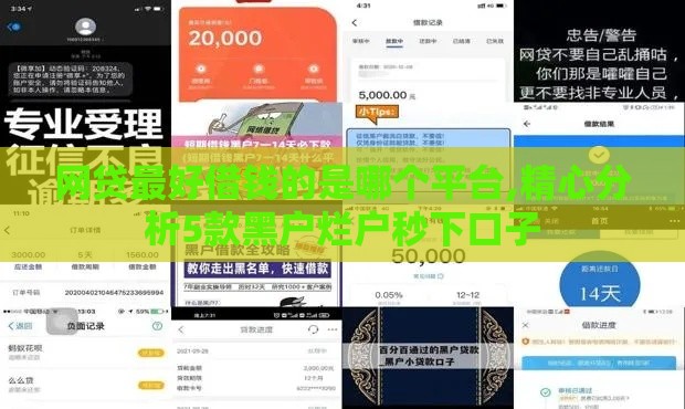 网贷最好借钱的是哪个平台,精心分析5款黑户烂户秒下口子