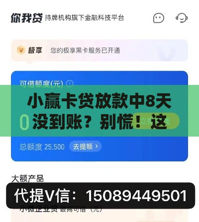 小赢卡贷放款中8天没到账？别慌！这5个方法帮你快速解决