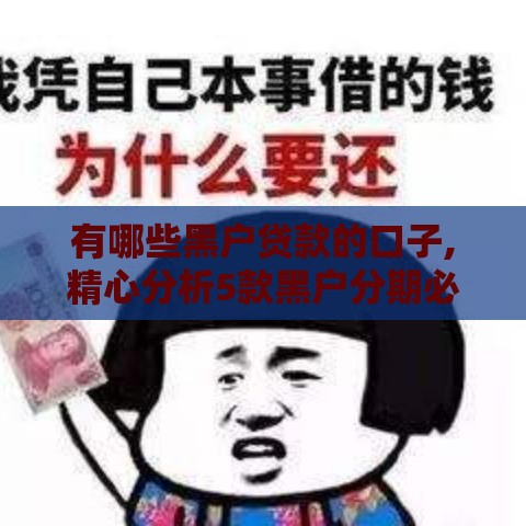 有哪些黑户贷款的口子,精心分析5款黑户分期必下的口子