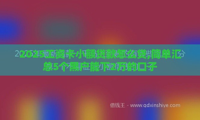 2025工资卡小额贷款怎么贷,简单汇总5个黑户能下2万的口子