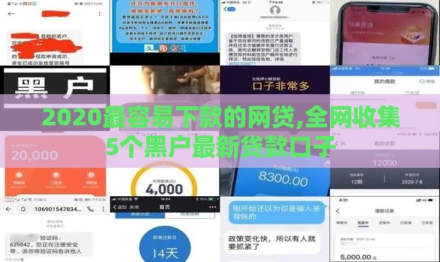 2020最容易下款的网贷,全网收集5个黑户最新贷款口子