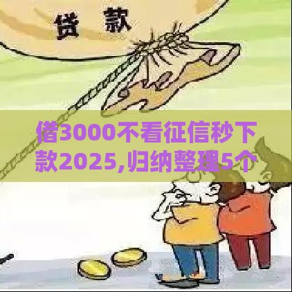 借3000不看征信秒下款2025,归纳整理5个黑户白户能下的口子