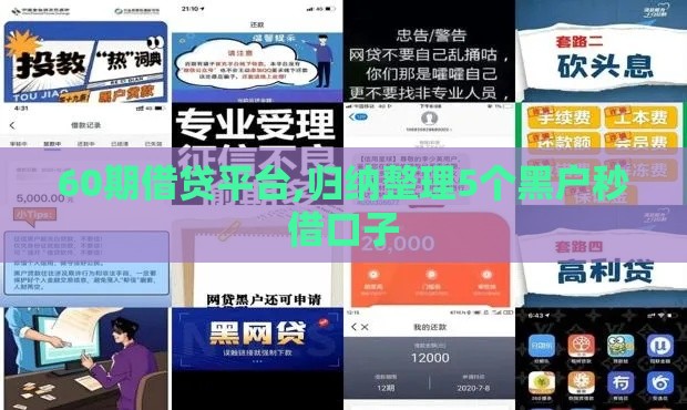 60期借贷平台,归纳整理5个黑户秒借口子