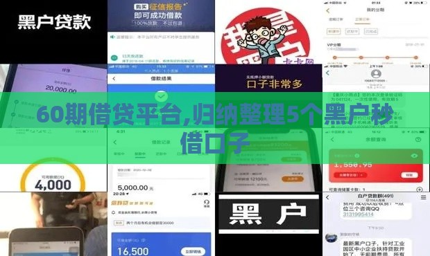 60期借贷平台,归纳整理5个黑户秒借口子