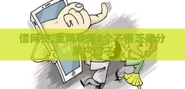 借网贷,全网收集5个不用芝麻分黑户口子