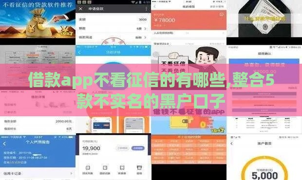 借款app不看征信的有哪些,整合5款不实名的黑户口子