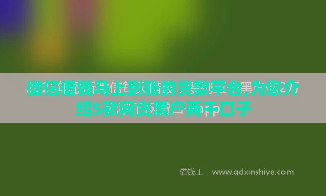 微信借钱马上到账的贷款平台,为您介绍5款网贷黑户两千口子