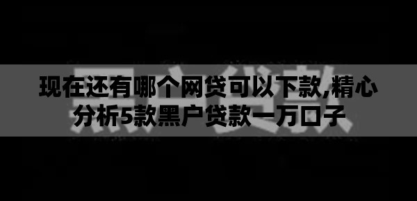 现在还有哪个网贷可以下款,精心分析5款黑户贷款一万口子