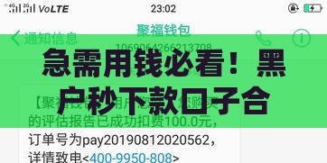 急需用钱必看！黑户秒下款口子合集 不看征信也能到账