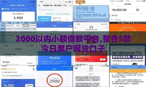2000以内小额借款平台,整合5款今日黑户网贷口子