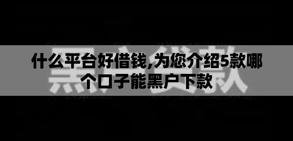 什么平台好借钱,为您介绍5款哪个口子能黑户下款