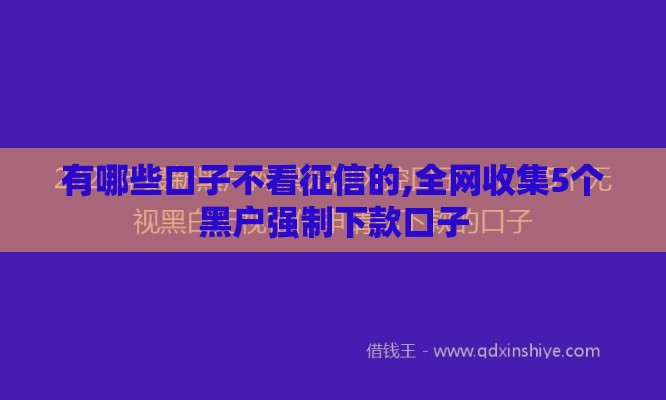 有哪些口子不看征信的,全网收集5个黑户强制下款口子