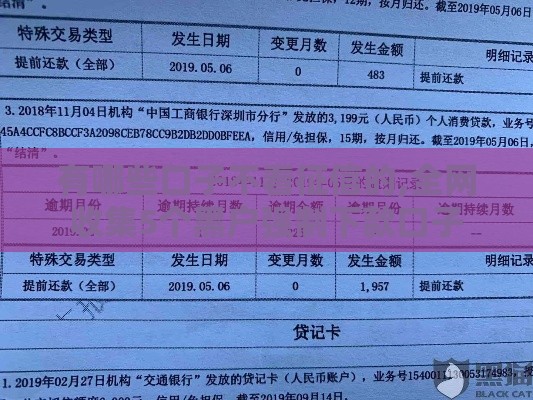 有哪些口子不看征信的,全网收集5个黑户强制下款口子