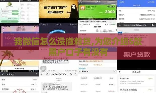 我微信怎么没微粒贷,为您介绍5款黑户口子有没有