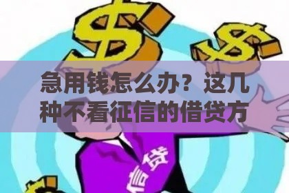 急用钱怎么办？这几种不看征信的借贷方式，快速到账！