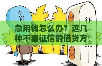 急用钱怎么办？这几种不看征信的借贷方式，快速到账！
