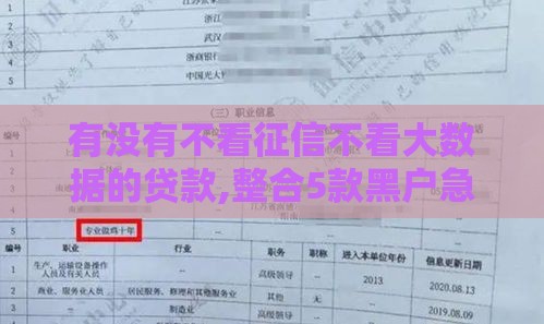 有没有不看征信不看大数据的贷款,整合5款黑户急需下款的口子
