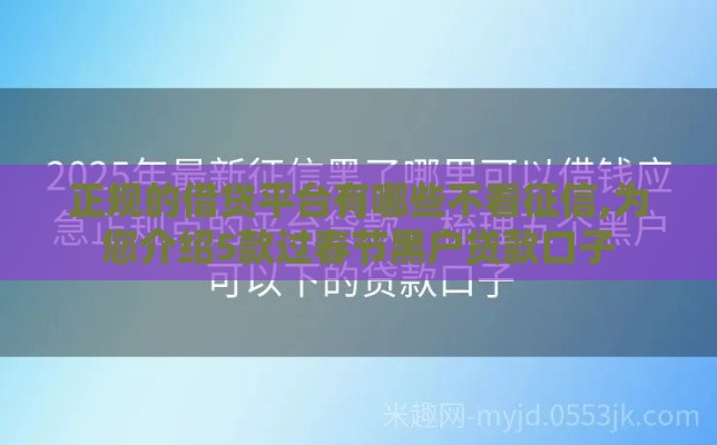 正规的借贷平台有哪些不看征信,为您介绍5款过春节黑户贷款口子