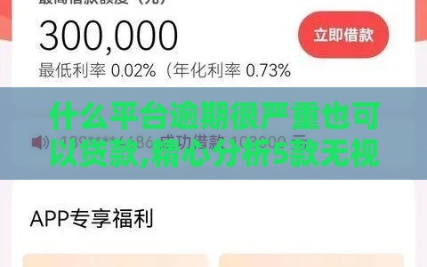 什么平台逾期很严重也可以贷款,精心分析5款无视各种黑户的口子