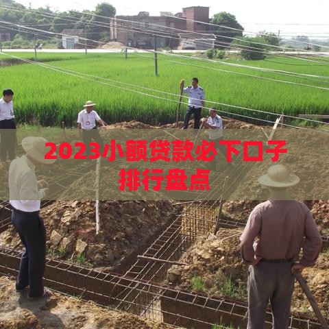 2023小额贷款必下口子排行盘点
